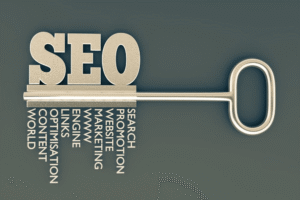 What is search engine optimization